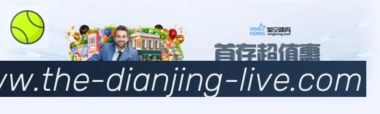未来规划